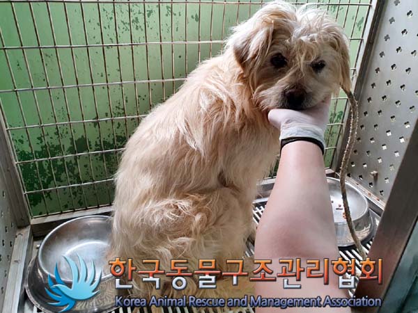 한국동물구조관리협회_441406202300711